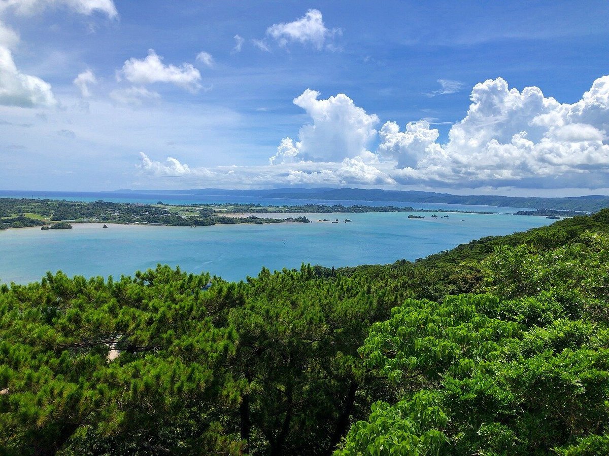 🏞️ 나고 아라시야마 전망대(나고 아라시야마 텐보우다이) 이미지 5